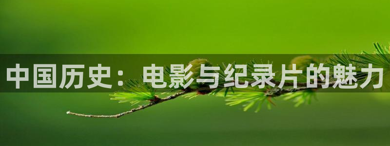 777米奇影视：中国历史：电影与纪录片的魅力